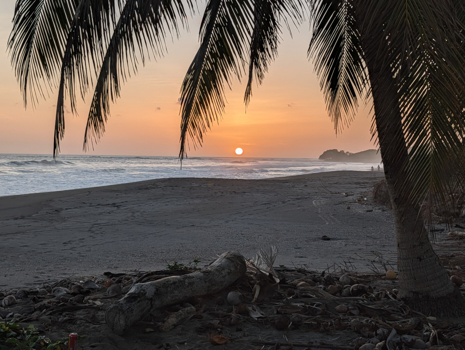 Sunset over Playa Marbella seen through palm fronds