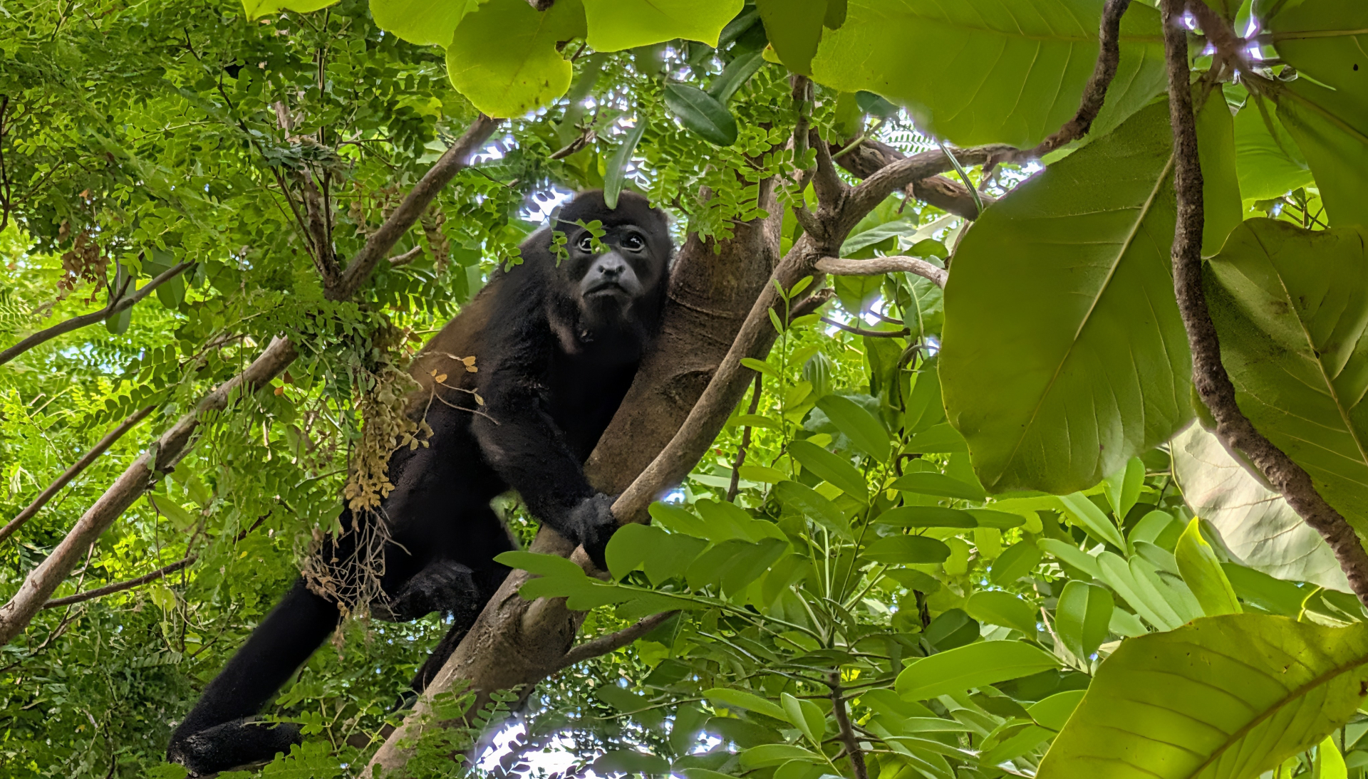 Wildlife & Nature