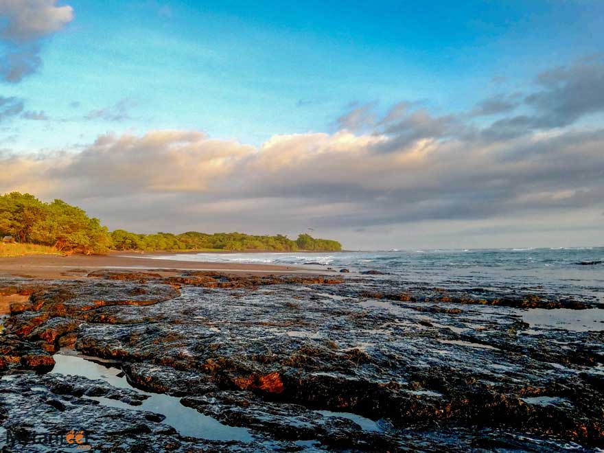 Volcanic rock shelf and tide pools at low tide near Marbella
