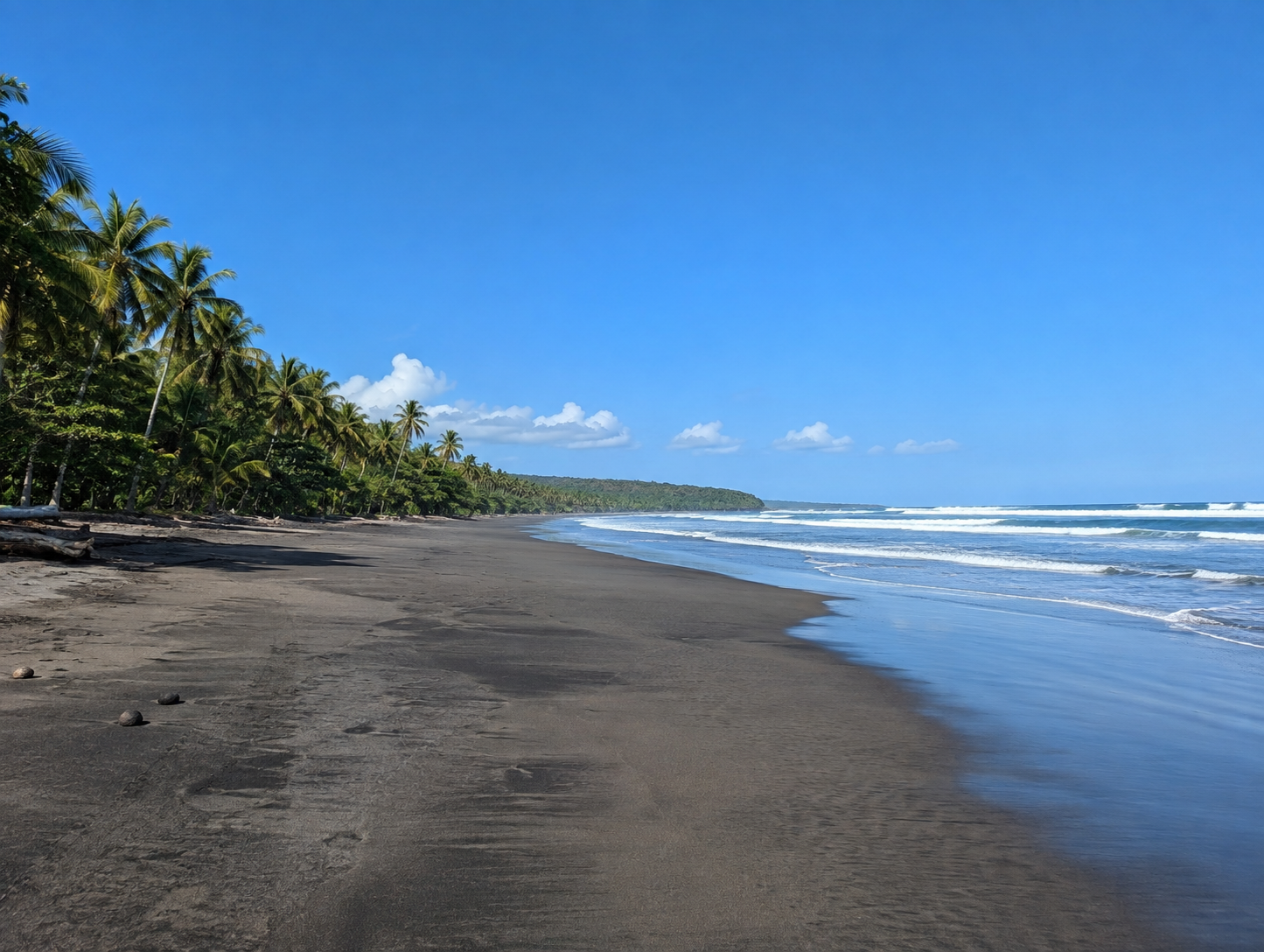 Playa Marbella's dark sand shoreline framed by coconut palms